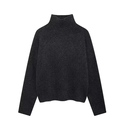 Turtle-neck Knitted Sweater