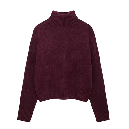 Turtle-neck Knitted Sweater